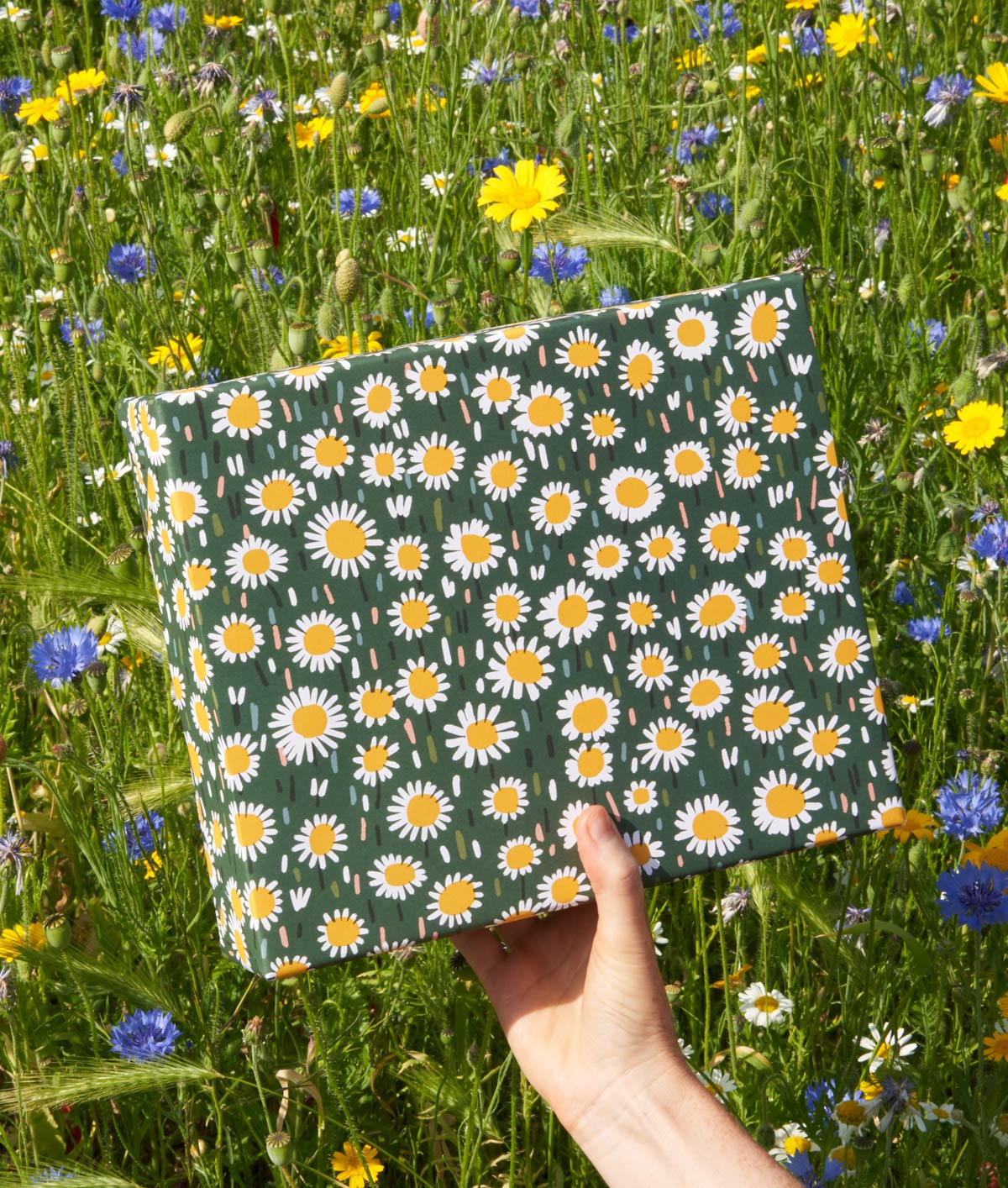Daisies Wrapping Paper